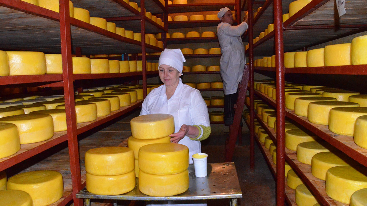 Cheese.jpg Cheese.jpg
