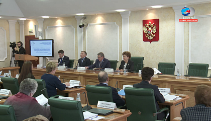 Заседание Совета по делам инвалидов при Совете Федерации. Запись трансляции 28 апреля 2017 года