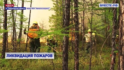 За сутки в России ликвидированы 89 крупных природных пожаров