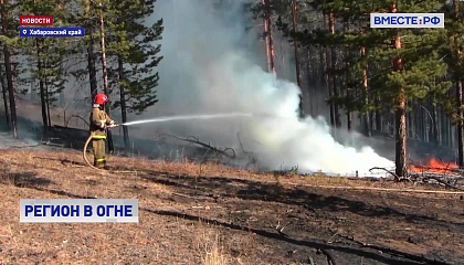 В Хабаровском крае из-за лесных пожаров введён режим ЧС 