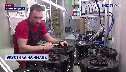 На Ямале в детском технопарке будут выращивать экзотические растения