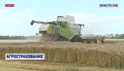 Впервые в истории РФ за год экспортировала сельхозпродукции на 45 млрд долларов