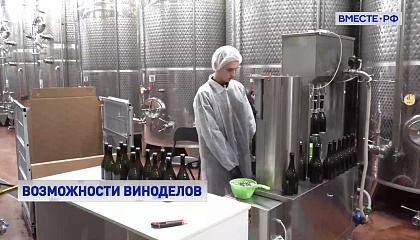 В России могут разрешить рекламу отечественного вина
