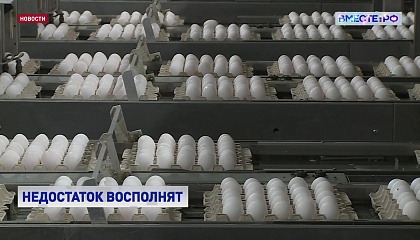 Вторая партия яиц из Турции ввезена в Россию