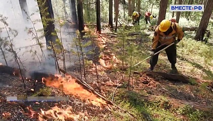 В четырнадцати регионах страны идет активная борьба с лесными пожарами
