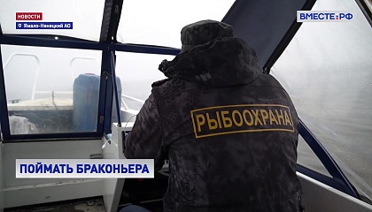 На Ямале в рейд на браконьеров вышли инспекторы Рыбоохраны