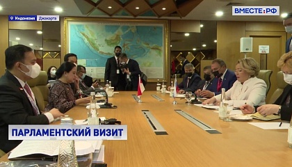 Матвиенко на полях «парламентской двадцатки» провела беседу с Президентом Индонезии 