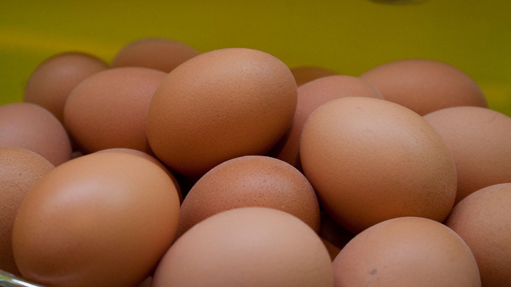 Упаковка в 12 яиц: Губернатор пообещал – птицефабрика выпустила