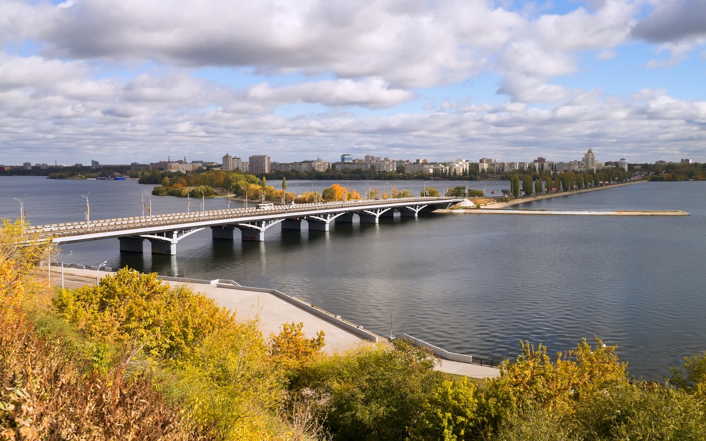 Вид на Чернавский мост в Воронеже