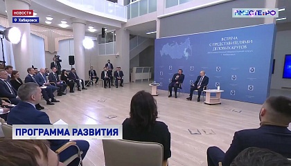 Путин обсудил с предпринимателями первоочередные задачи развития ДФО