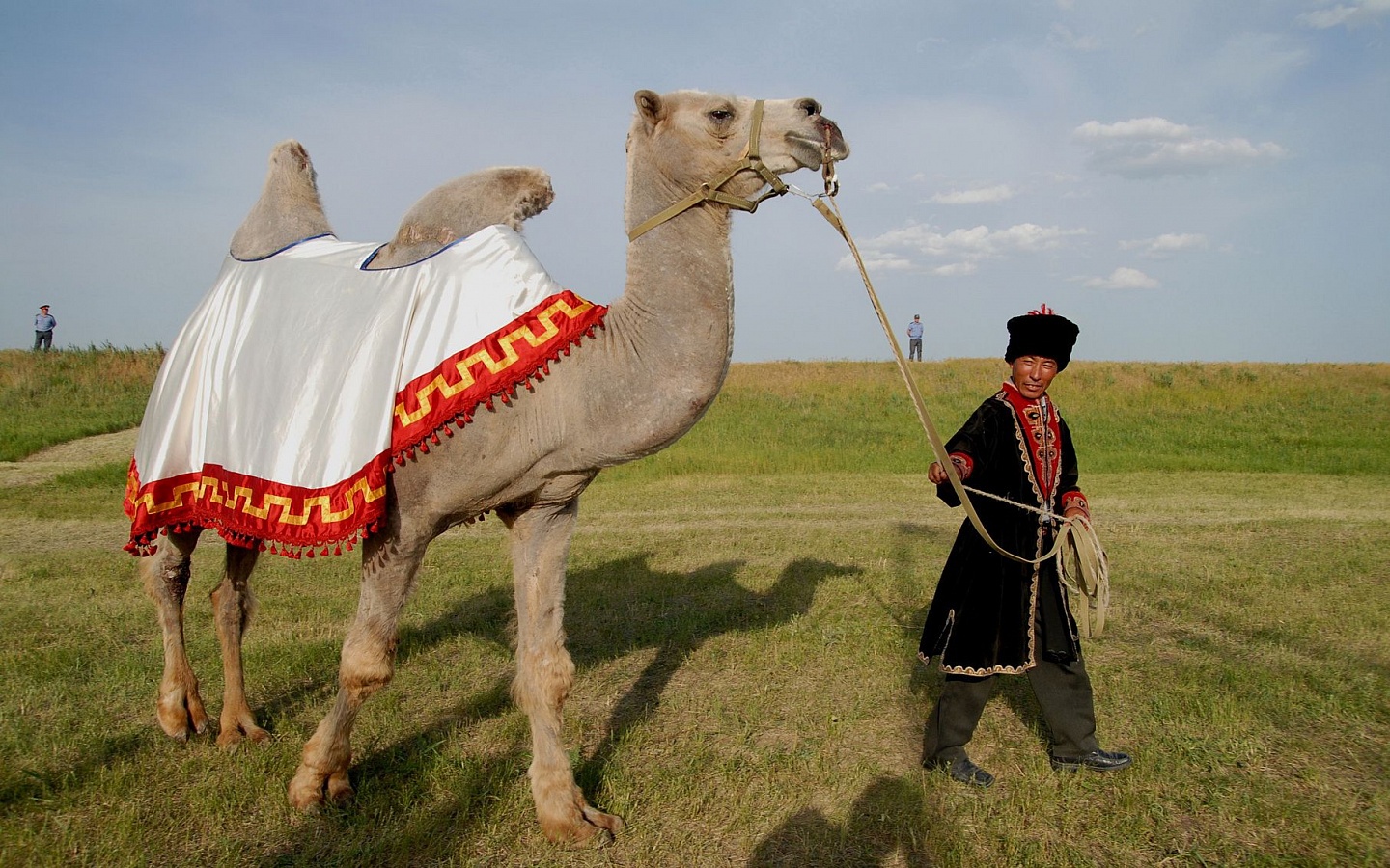 Калмыкия. Мужчина в национальном костюме ведёт верблюда.