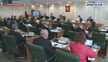 Заседание Научно-экспертного совета при председателе Совета Федерации. Запись трансляции 19 апреля 2021 года