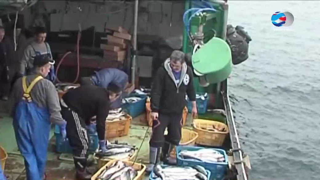 В РФ хотят создать рыбную биржу и обязать компании продавать часть улова через нее