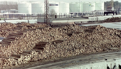 В СФ предложили упростить заготовку дров для жителей удаленных территорий