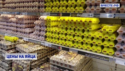 ФАС проверяет цены на яйца в крупнейших торговых сетях