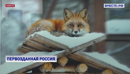 Уникальная страна в кадрах: открылся X фестиваль природы «Первозданная Россия»