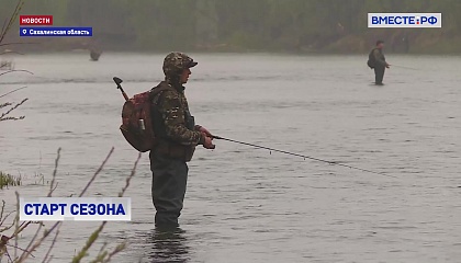 На Сахалине начался лицензионный лов вишневого лосося