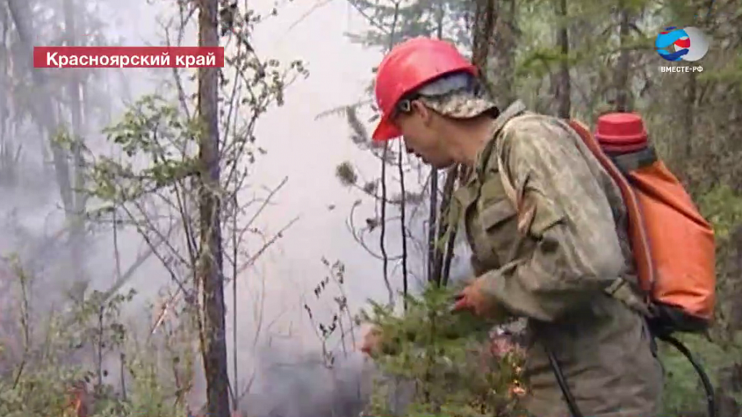 Медведев поручил проверить, не поджигают ли специально леса в Сибири