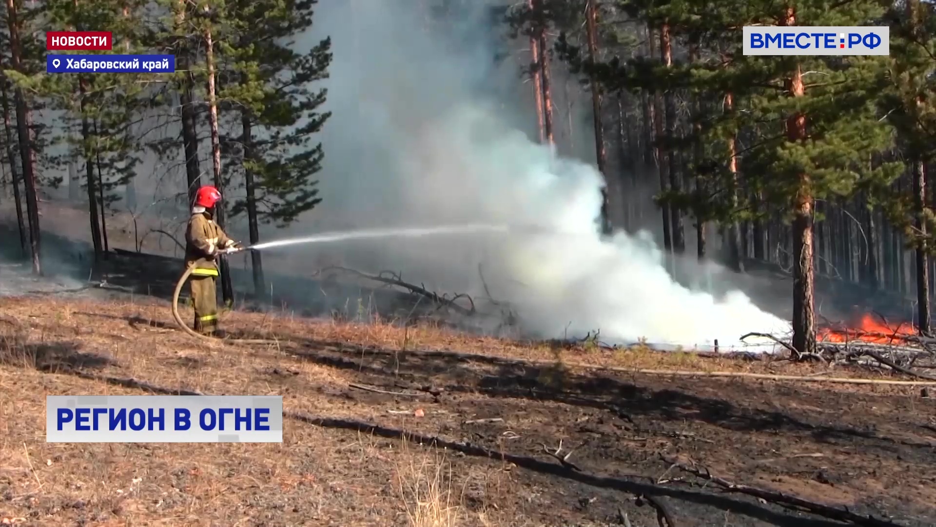 В Хабаровском крае из-за лесных пожаров введен режим ЧС 