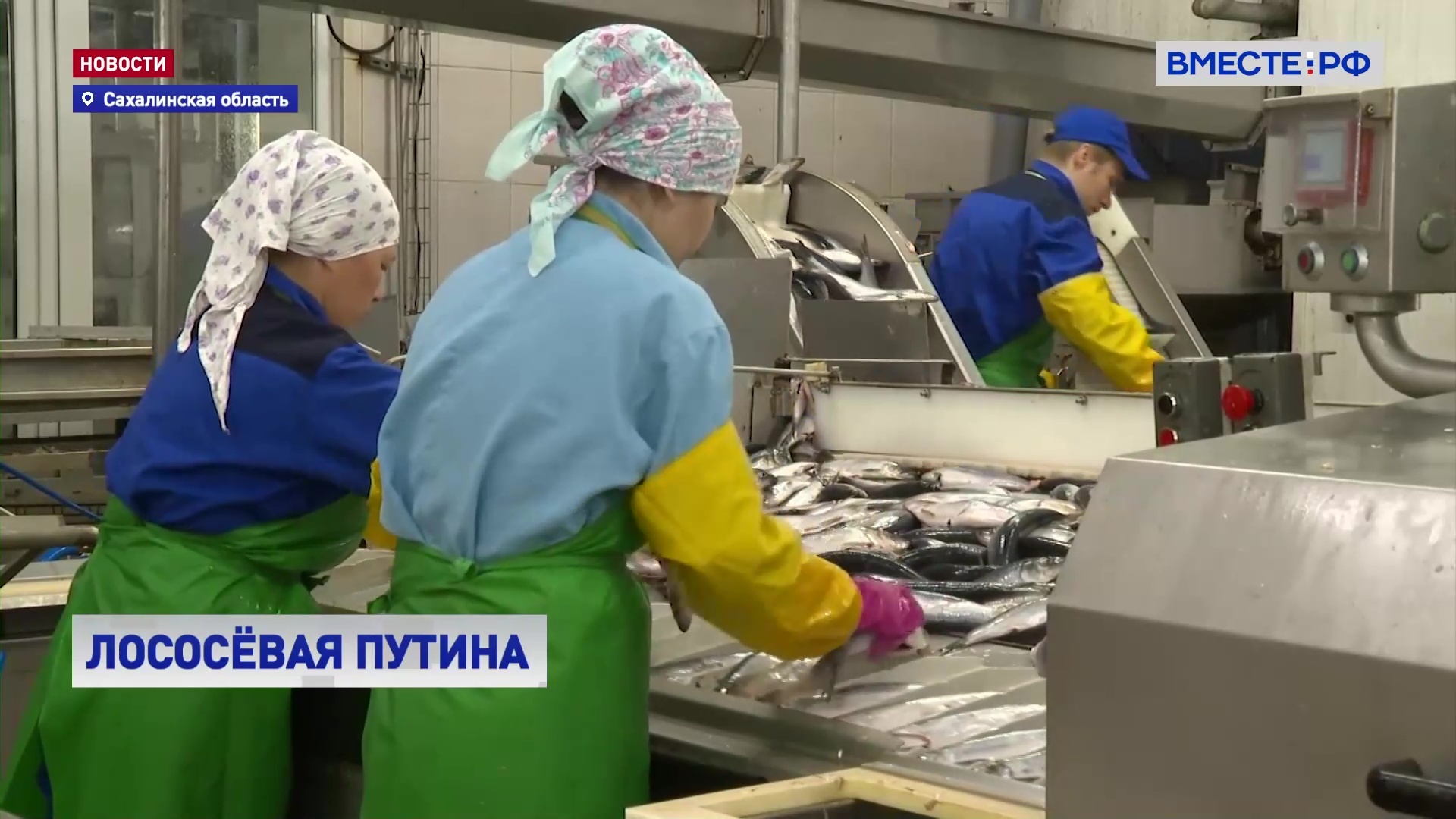 Стройотряды пришли на помощь сахалинским рыбопромысловым хозяйствам