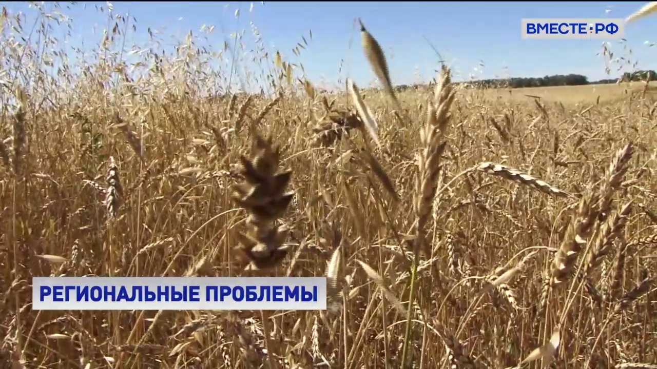 В Астраханской области ощущается острая нехватка пахотных земель