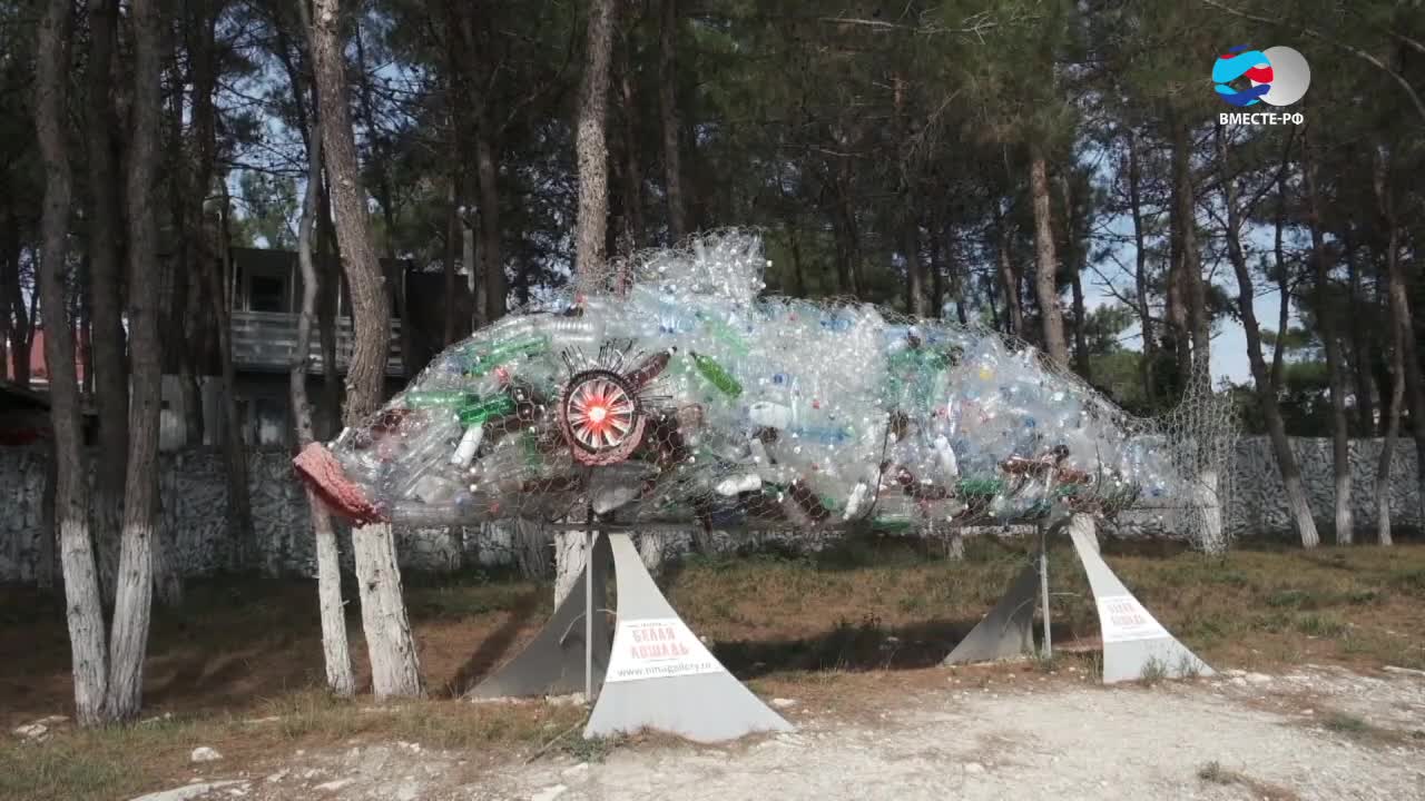 Художница из Геленджика создает картины из мусора
