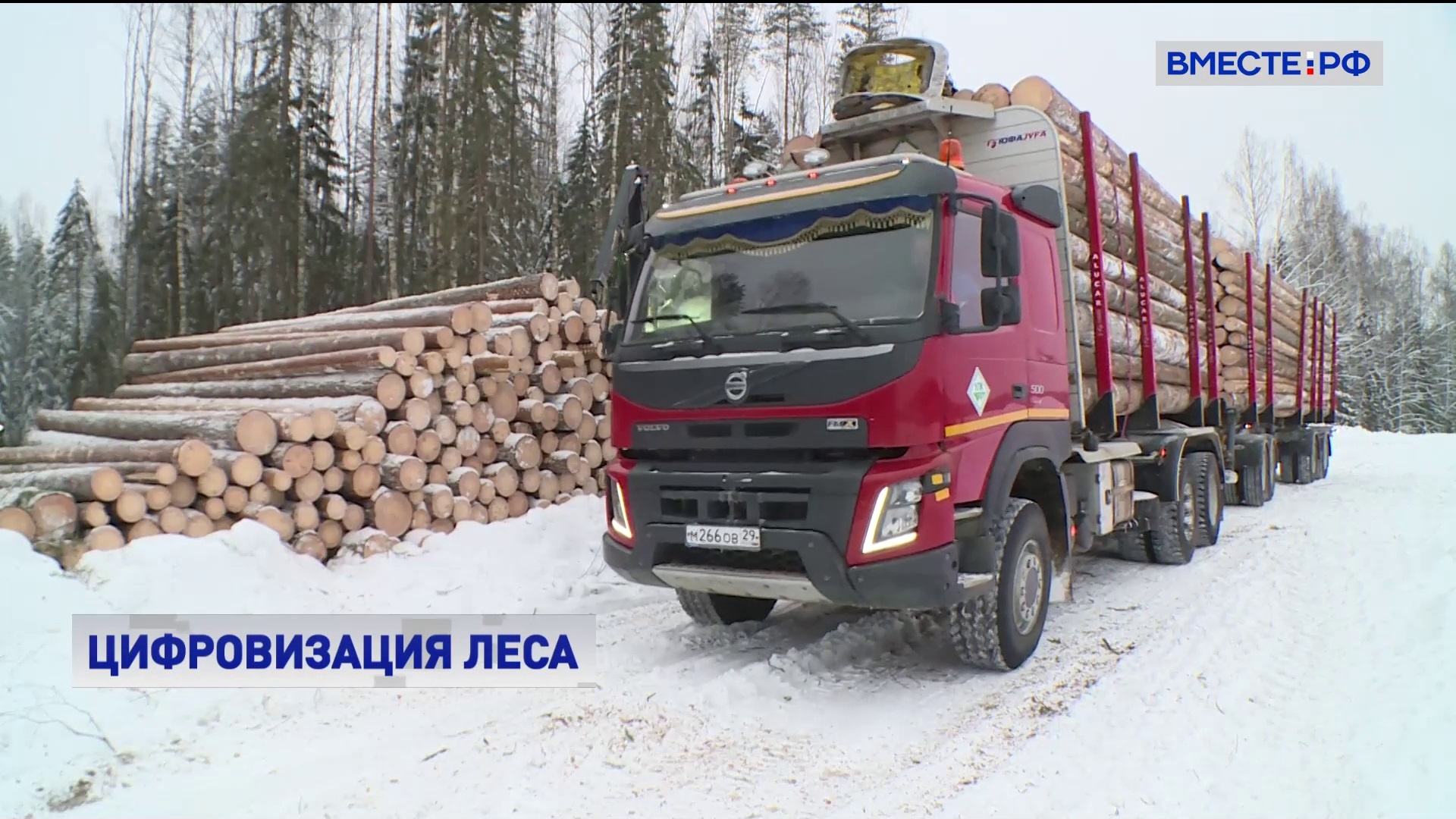 Iveco Trakker лесовоз. Iveco Trakker сортиментовоз. Лесовоз Ивеко 682. Ивеко Траккер сортиментовоз 693920.