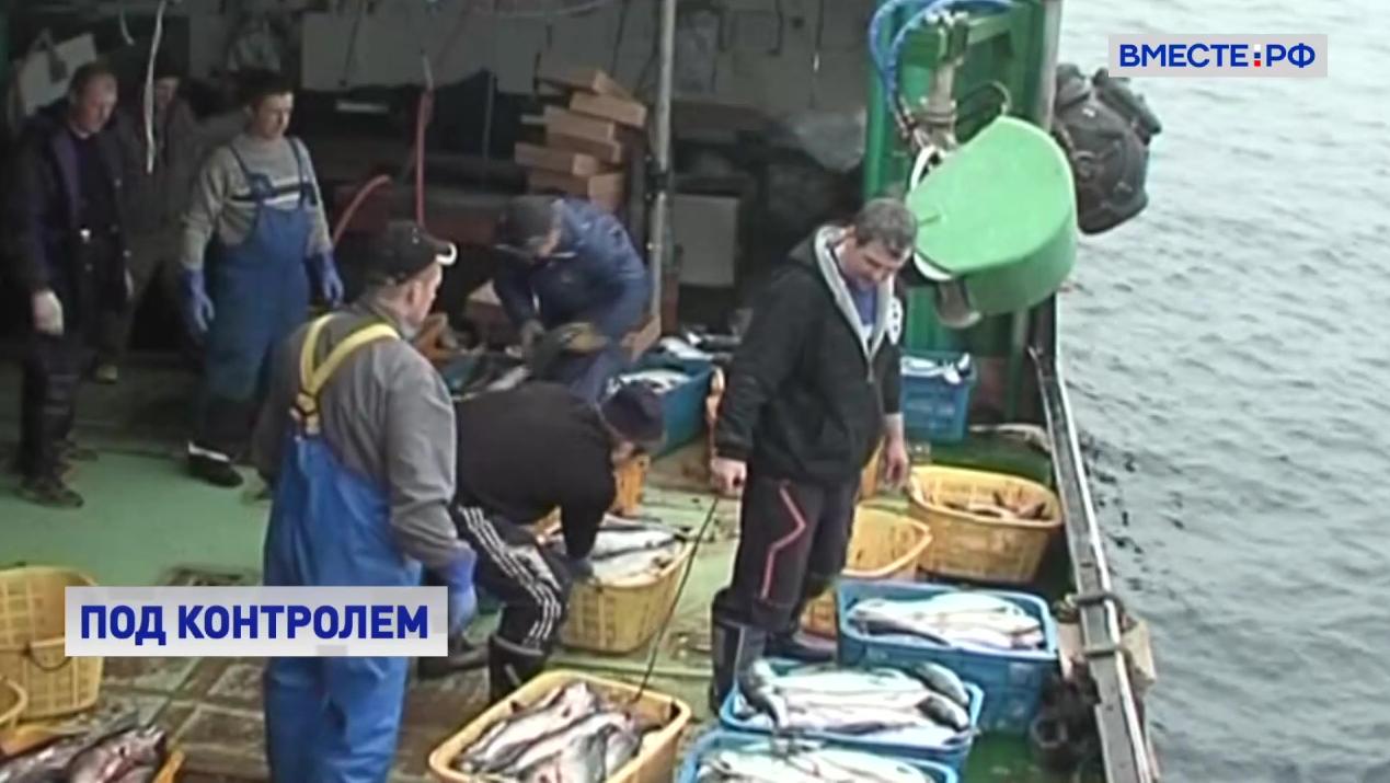 В СФ обсудили нормативные документы в области рыболовства и аквакультуры