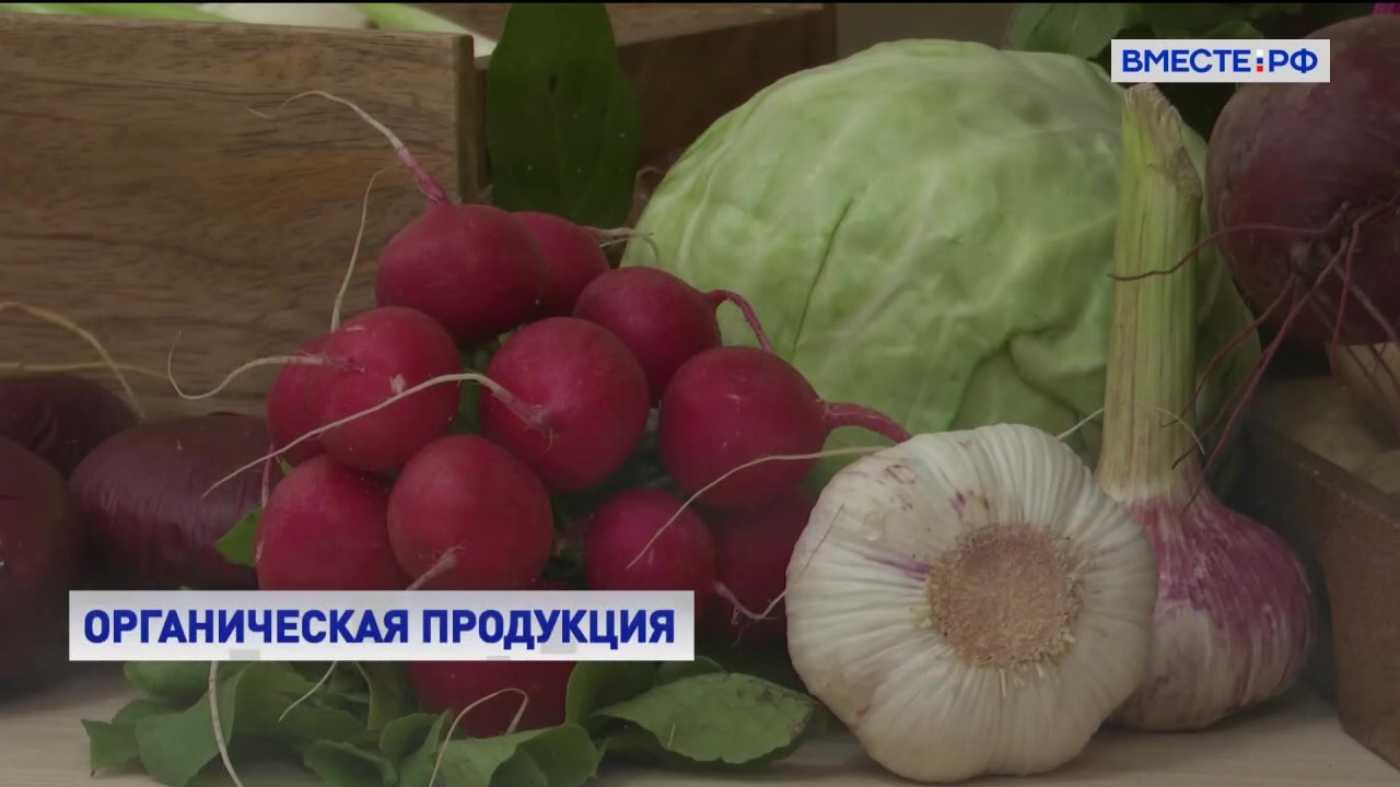 Выставка органической продукции открылась в Совете Федерации 