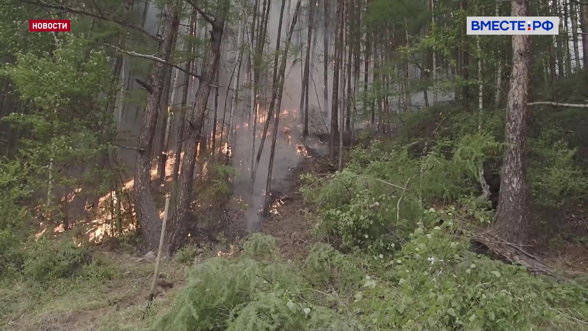 Больше 700 тысяч га леса охвачено природными пожарами в Якутии