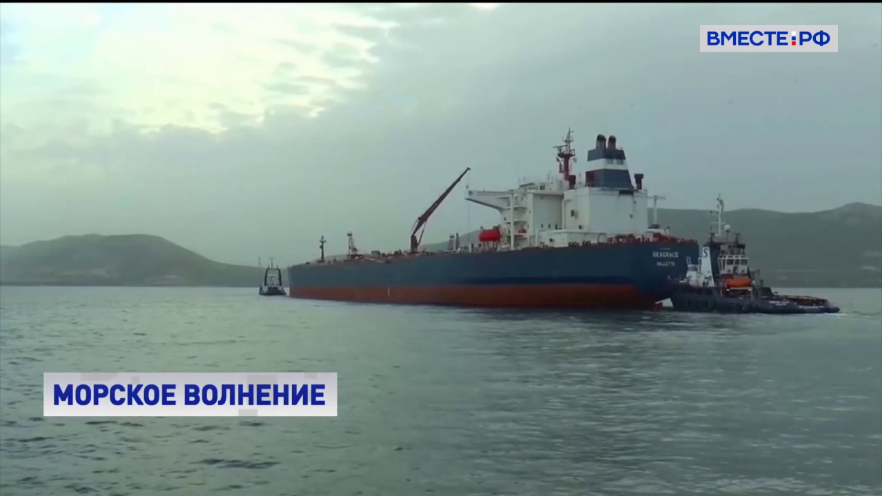 Правительство предлагает ограничить перечень портов, где можно проводить «перевалку» опасных грузов
