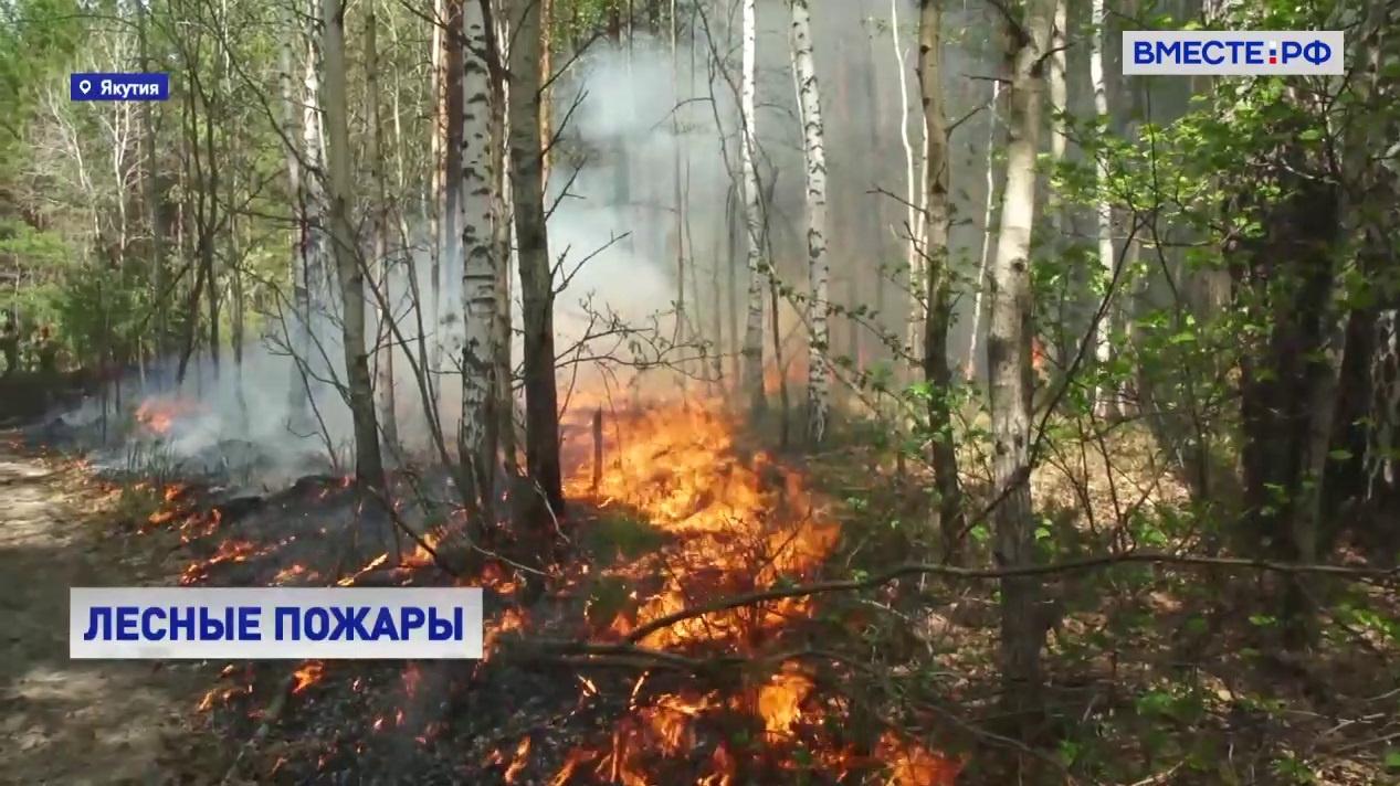 В Якутии ввели особый противопожарный режим