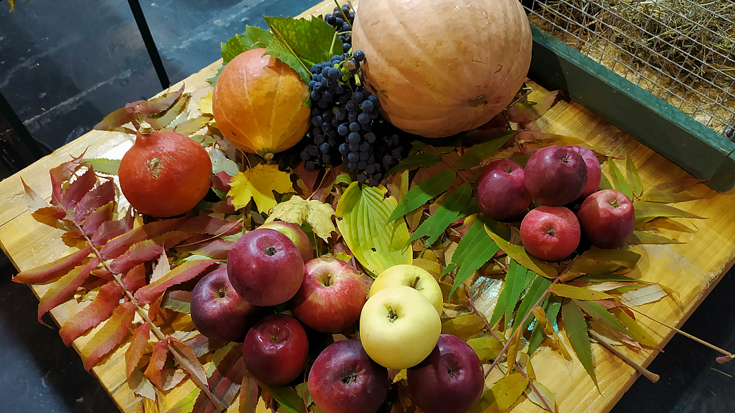 Фото: Victor Lisitsyn/Global Look Press