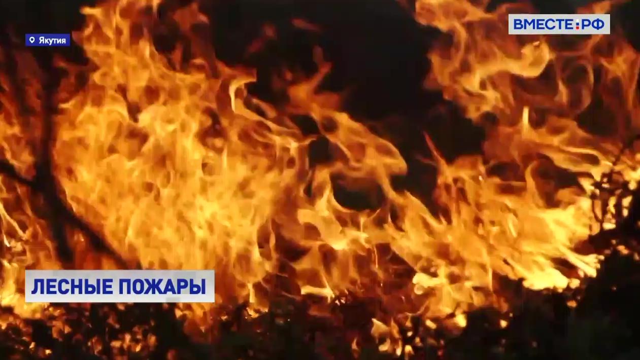 В Якутии площадь лесных пожаров увеличилась более чем на 80 тысяч га