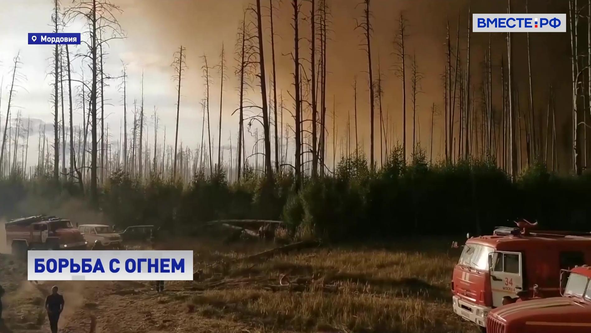 Природный пожар уничтожил почти треть Мордовского заповедника