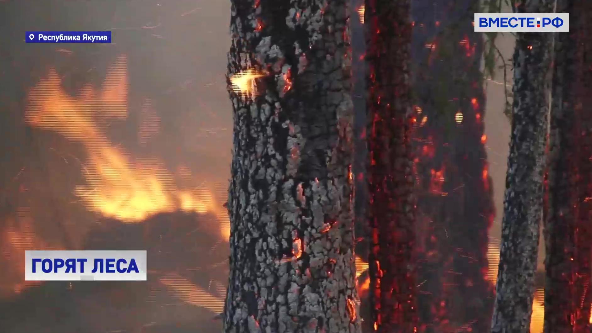 Режим ЧС введен в Якутии из-за лесных пожаров