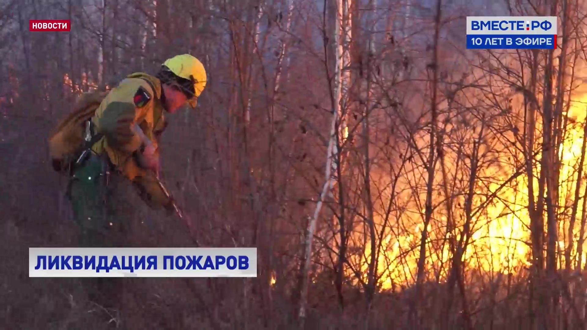 В России за последние сутки ликвидированы почти 100 лесных пожаров