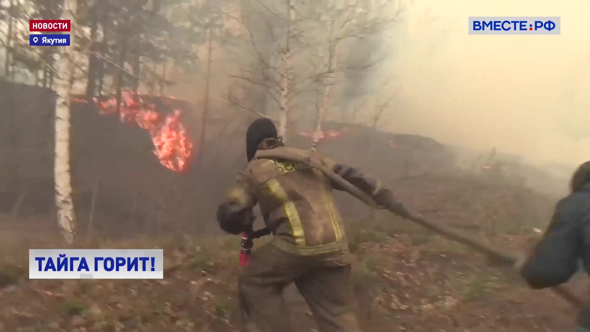 В Якутии площадь лесных пожаров увеличилась в 30 раз