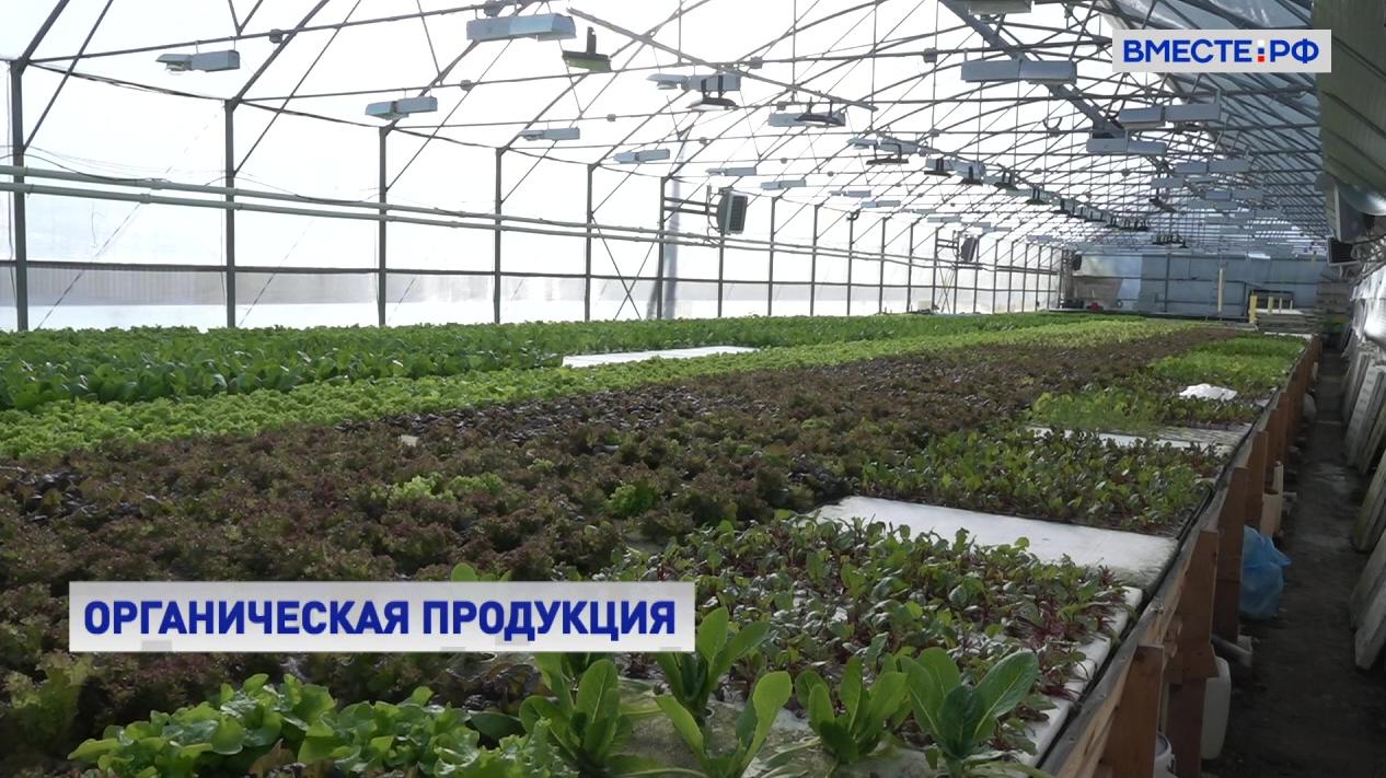 Итоги конкурса российской органической продукции подвели в Совете Федерации