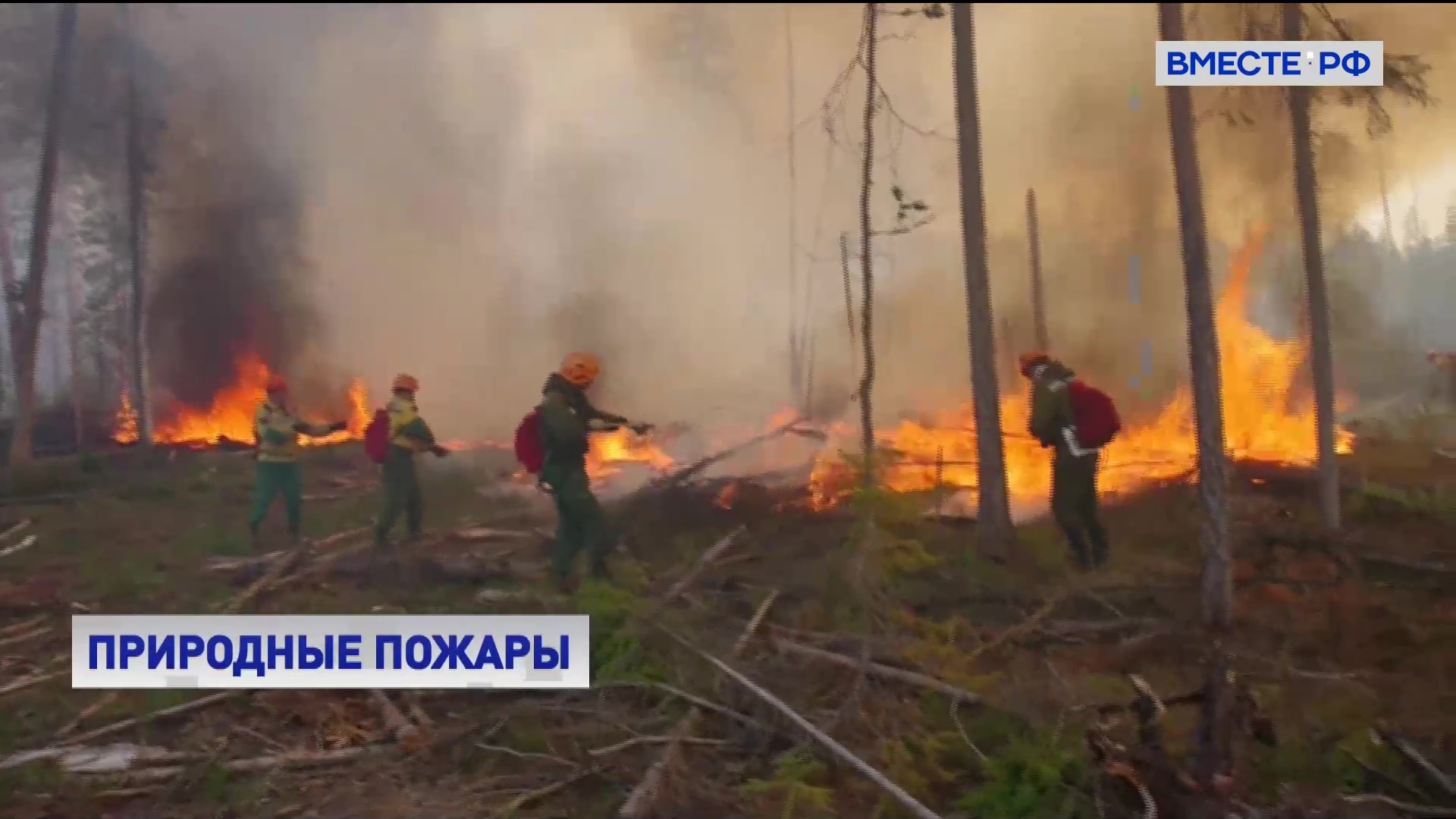 В Тюменской области действует режим ЧС из-за природных пожаров