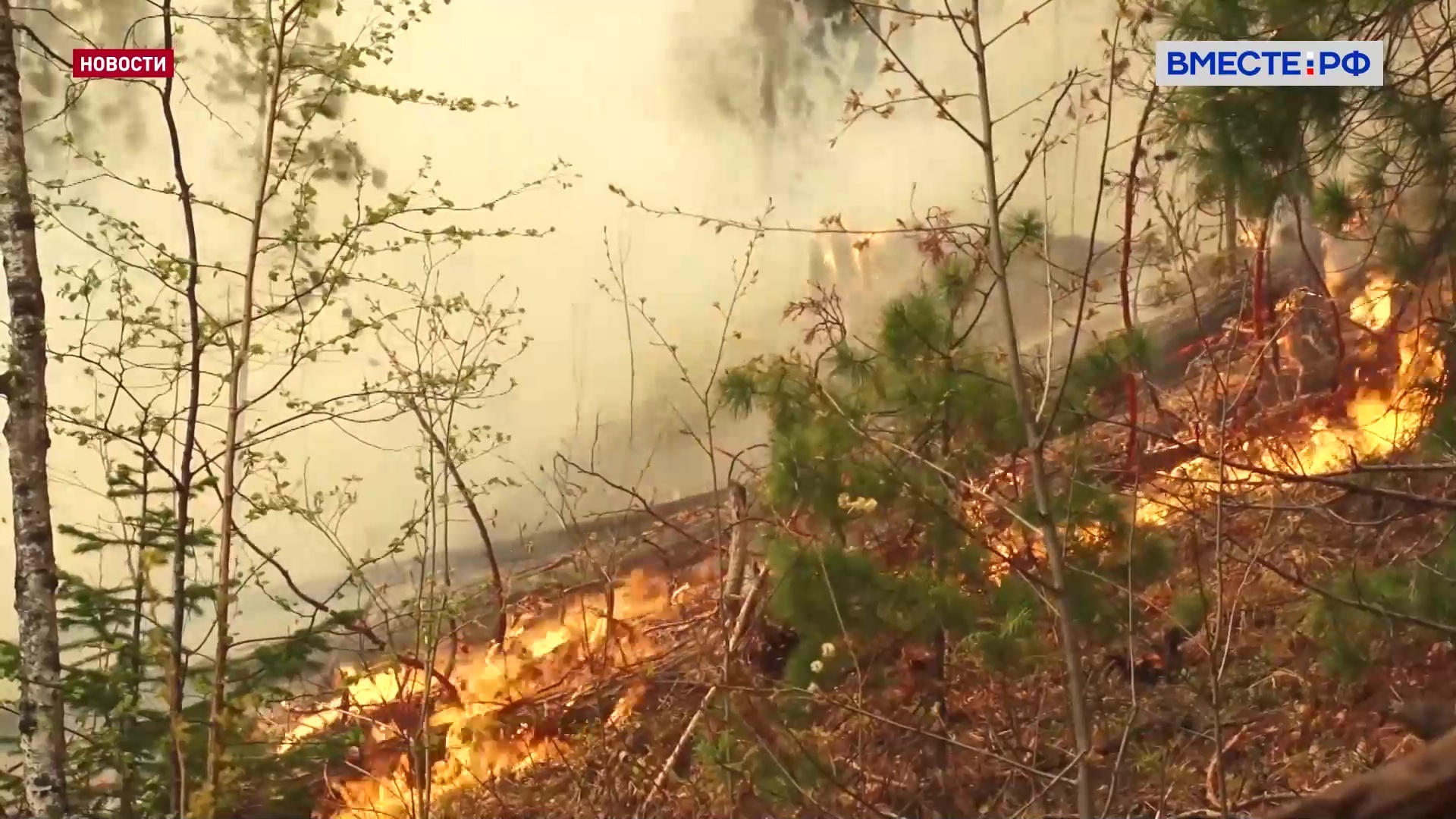 В Якутии из-за гроз растет число лесных пожаров