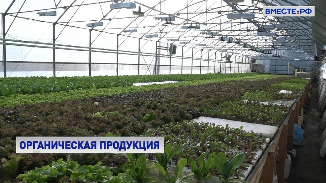 Определены победители молодежных треков Национального органического конкурса
