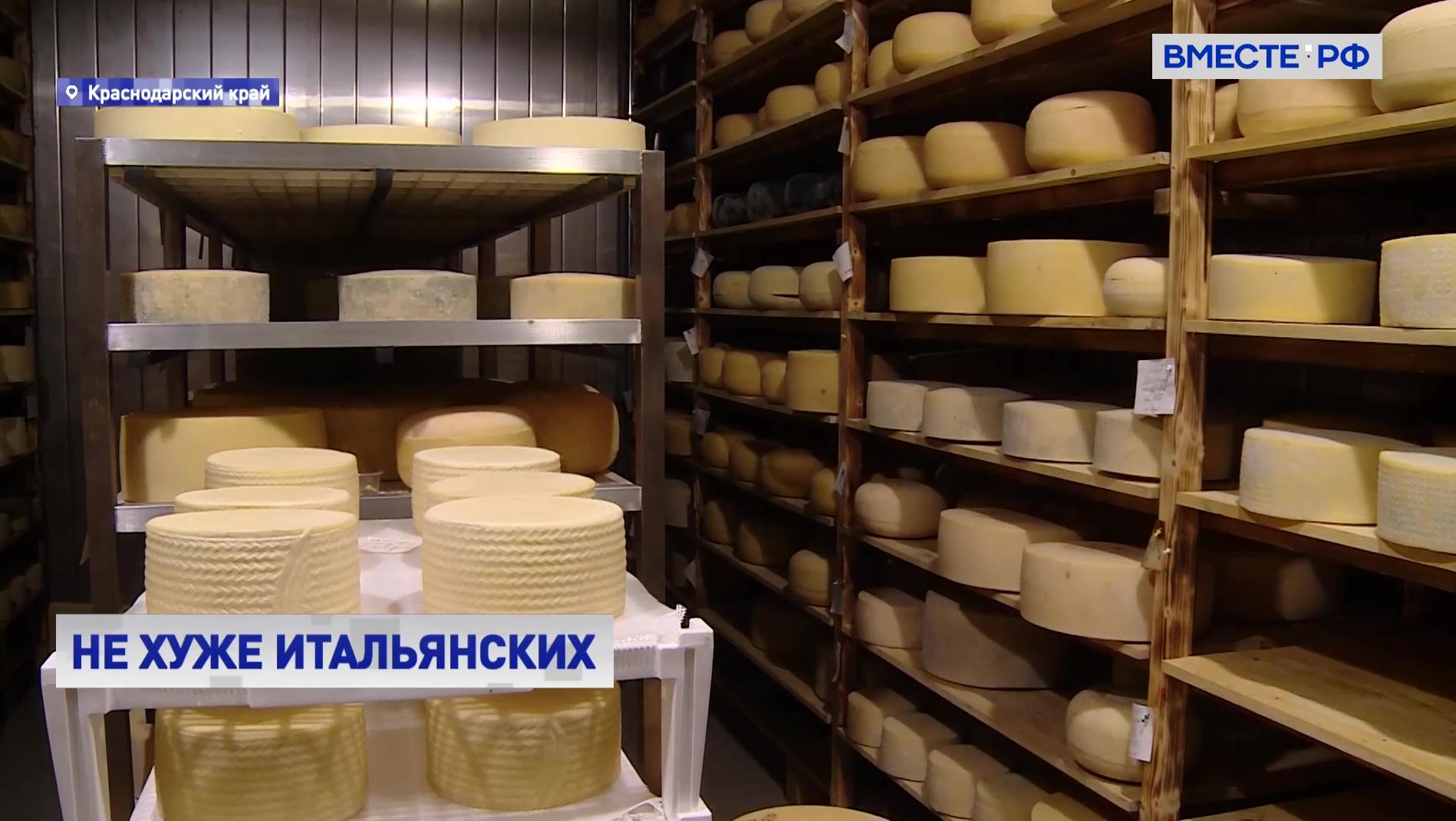Купить Элитные Сыры В Краснодаре