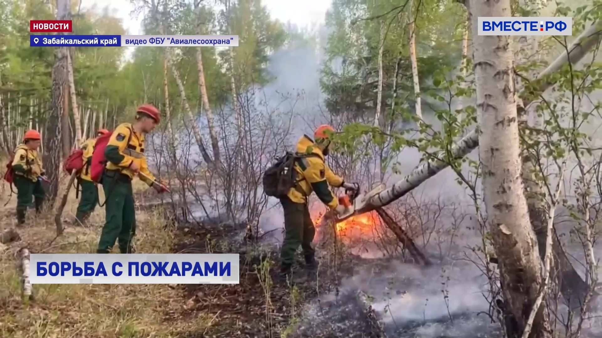 В Забайкальском крае сотрудники Авиалесоохраны борются с пожарами в труднодоступных горных районах