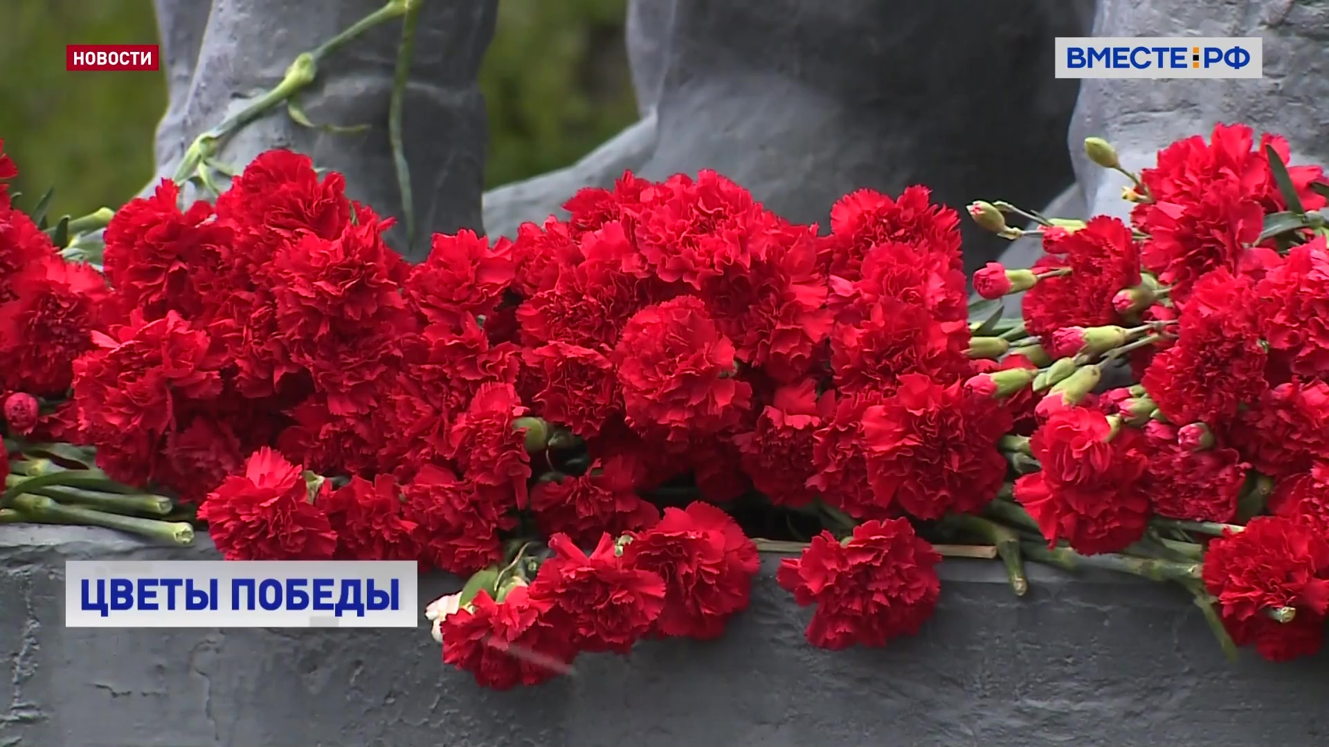 В Москве проходит акция «Цветы Победы»