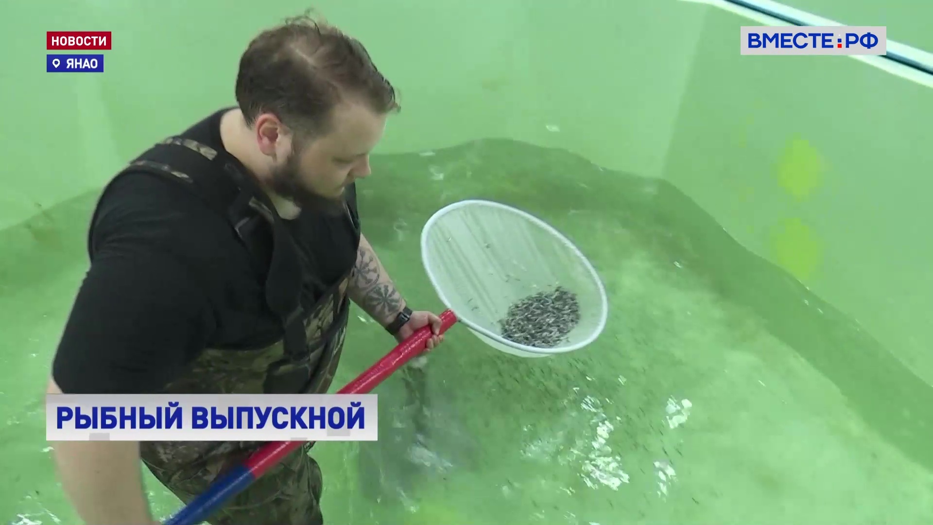 РЕПОРТАЖ: Рыбный выпускной на Ямале