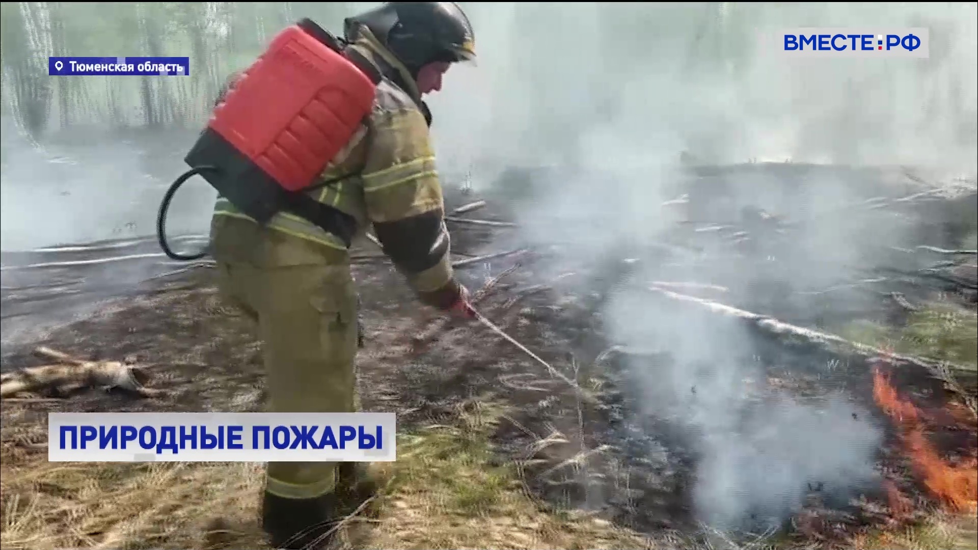 В Тюменской области возросла площадь природных пожаров