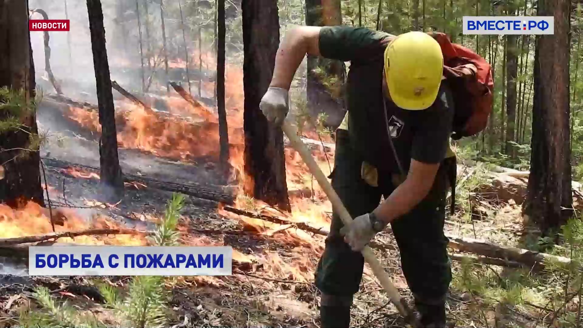 Обстановка с лесными пожарами в Тыве, Томской области и Алтайском крае стабилизирована