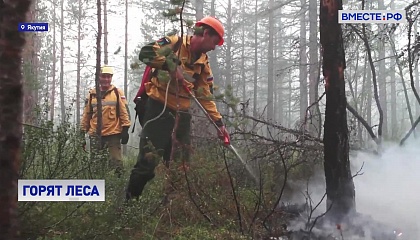 Четыре тысячи человек и 500 единиц техники: в Якутии продолжается борьба с лесными пожарами