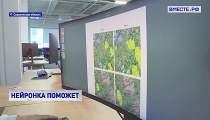 РЕПОРТАЖ: Технологии против борщевика и свалок